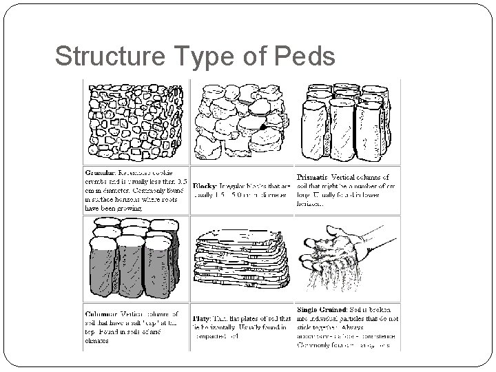Structure Type of Peds 