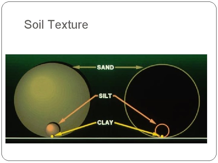 Soil Texture 