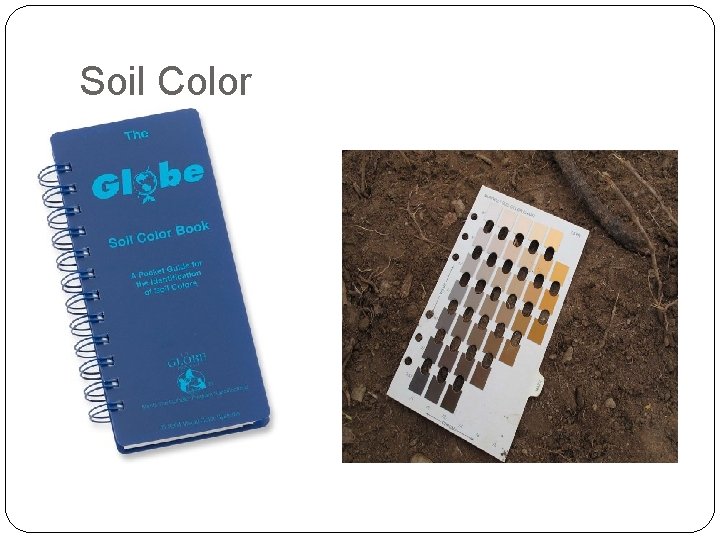 Soil Color 