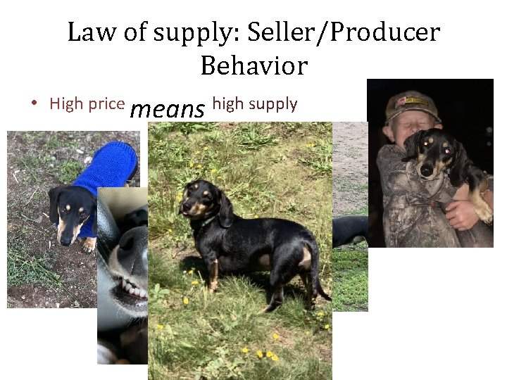 Law of supply: Seller/Producer Behavior • High price means high supply 