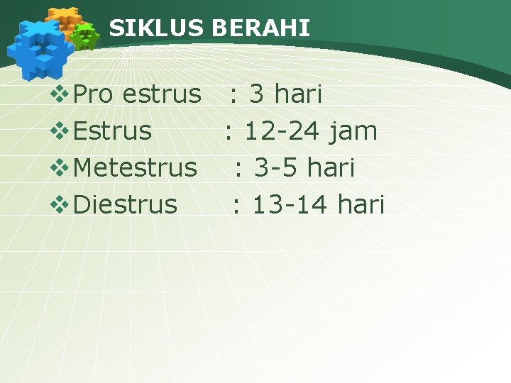 SIKLUS BERAHI v. Pro estrus : 3 hari v. Estrus : 12 -24 jam