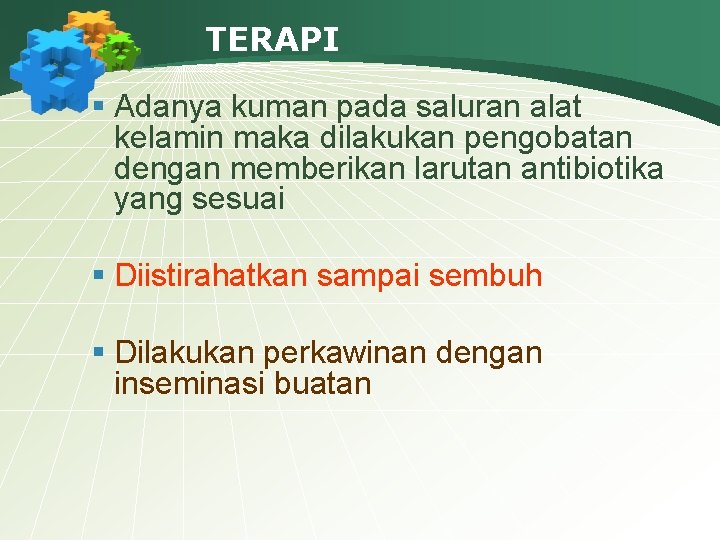 TERAPI § Adanya kuman pada saluran alat kelamin maka dilakukan pengobatan dengan memberikan larutan