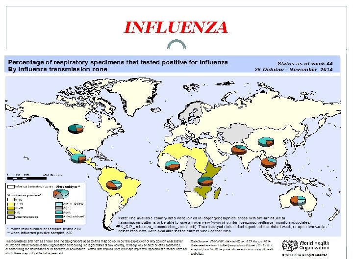 INFLUENZA 