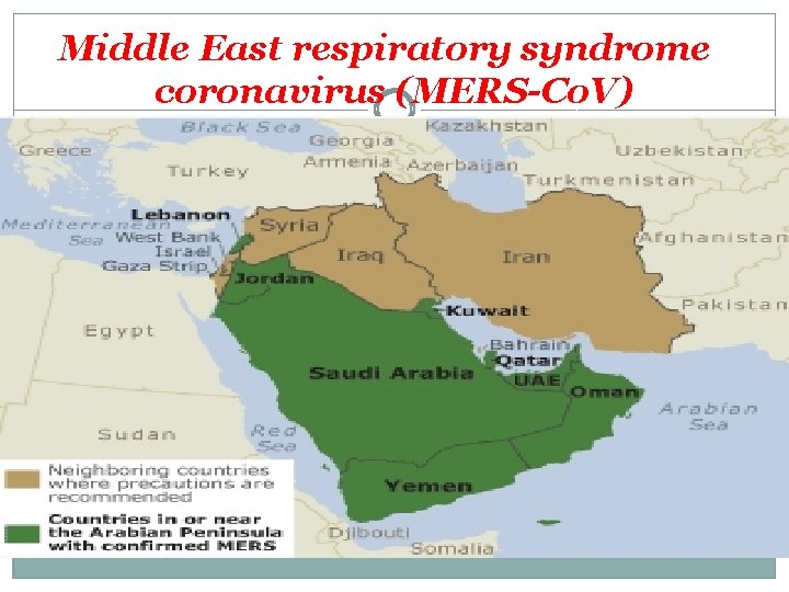 Middle East respiratory syndrome coronavirus (MERS-Co. V) 