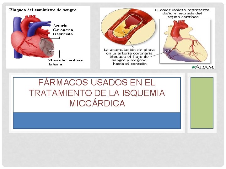 FÁRMACOS USADOS EN EL TRATAMIENTO DE LA ISQUEMIA MIOCÁRDICA 