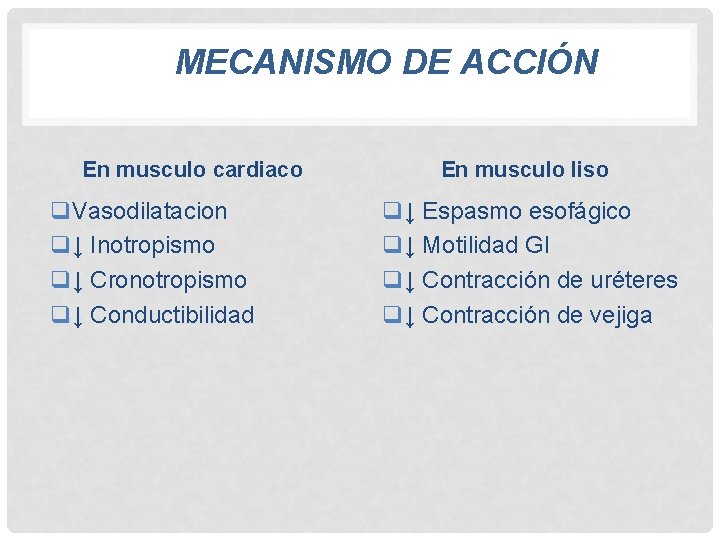  MECANISMO DE ACCIÓN En musculo cardiaco q. Vasodilatacion q↓ Inotropismo q↓ Cronotropismo q↓