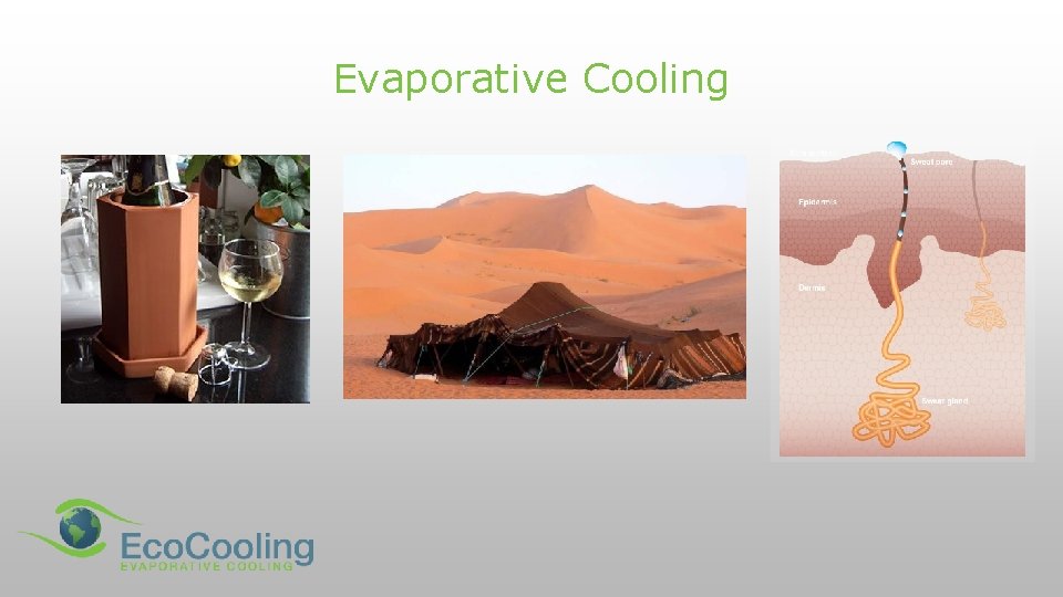 Evaporative Cooling 