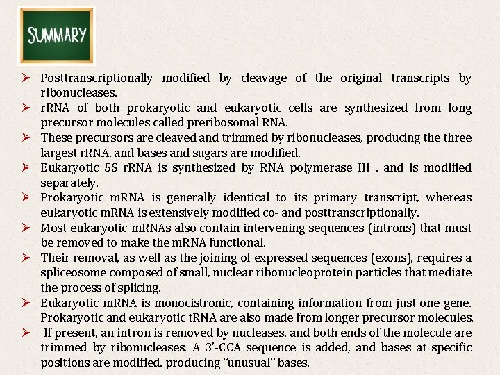Ø Posttranscriptionally modified by cleavage of the original transcripts by ribonucleases. Ø r. RNA