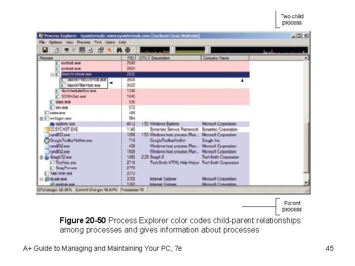 Figure 20 -50 Process Explorer color codes child-parent relationships among processes and gives information