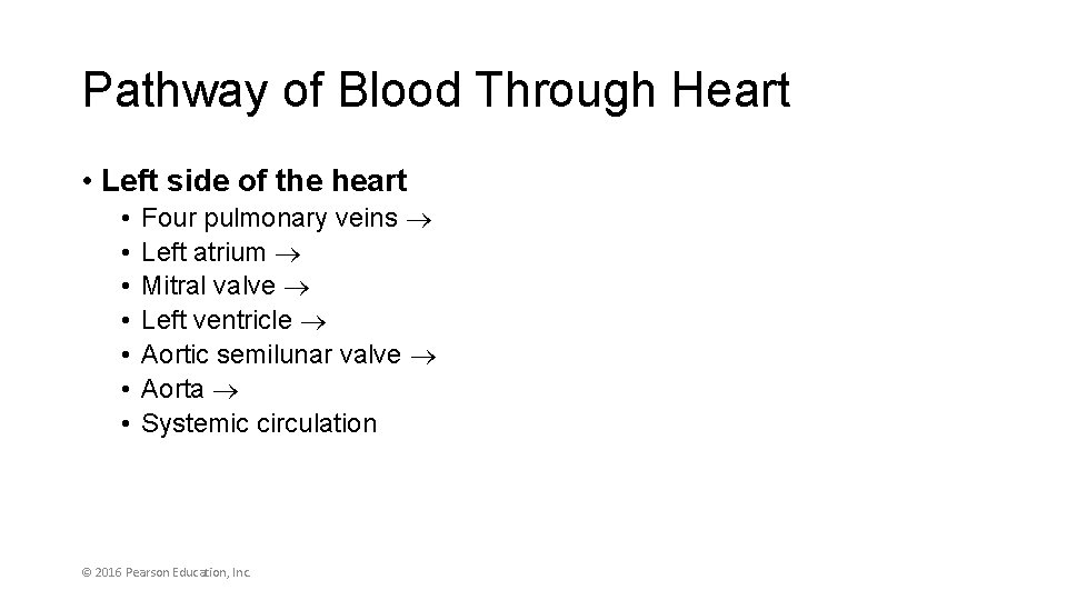 Pathway of Blood Through Heart • Left side of the heart • • Four