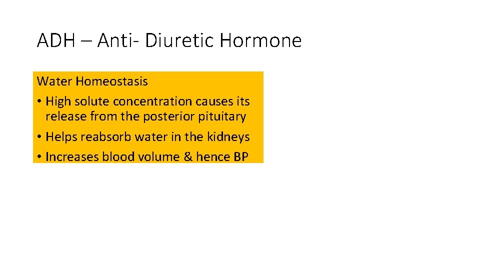 ADH – Anti- Diuretic Hormone Water Homeostasis • High solute concentration causes its release