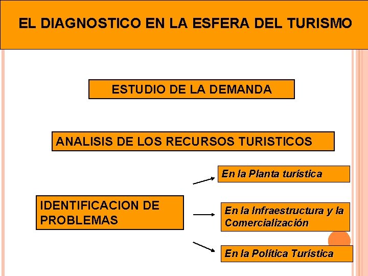 EL DIAGNOSTICO EN LA ESFERA DEL TURISMO ESTUDIO DE LA DEMANDA ANALISIS DE LOS