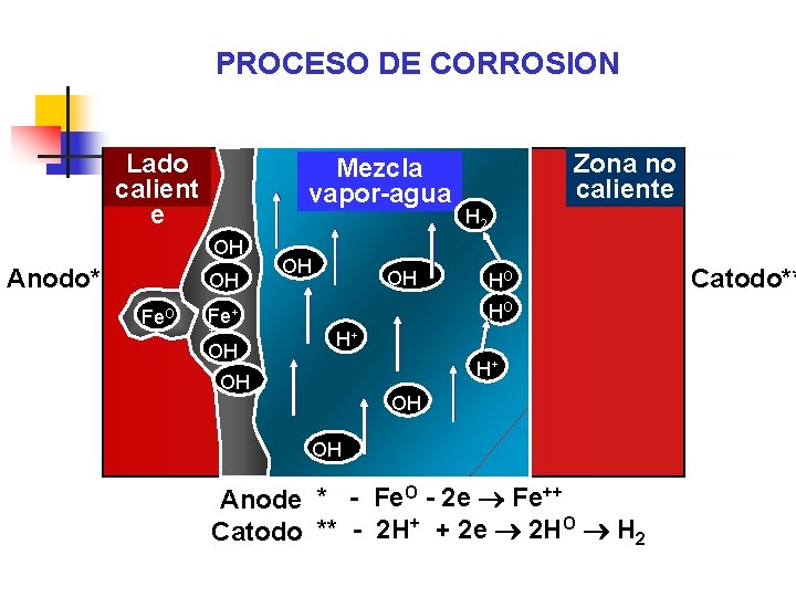 PROCESO DE CORROSION Lado calient e Mezcla vapor-agua OH Anodo* OH Fe. O OH