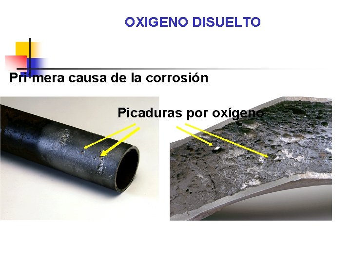 OXIGENO DISUELTO Pri´mera causa de la corrosión Picaduras por oxígeno 