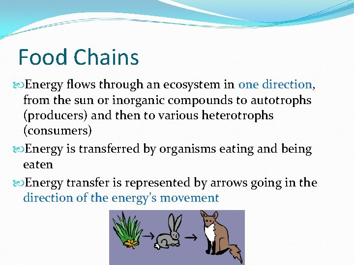 Food Chains Energy flows through an ecosystem in one direction, from the sun or