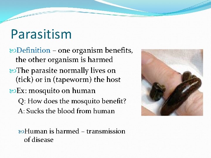 Parasitism Definition – one organism benefits, the other organism is harmed The parasite normally