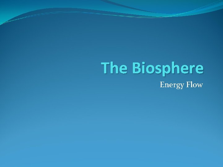 The Biosphere Energy Flow 
