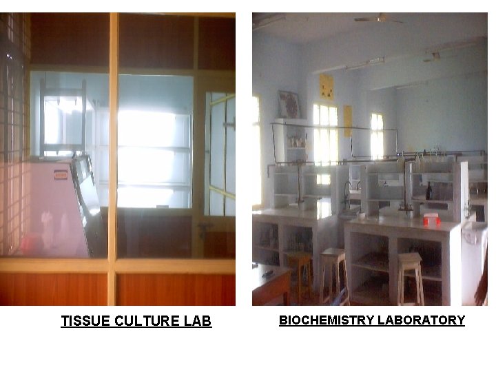 TISSUE CULTURE LAB BIOCHEMISTRY LABORATORY 