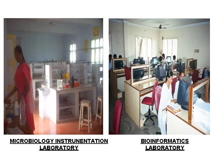 MICROBIOLOGY INSTRUNENTATION LABORATORY BIOINFORMATICS LABORATORY 