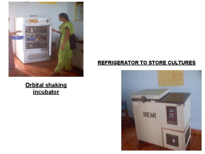 REFRIGERATOR TO STORE CULTURES Orbital shaking incubator 