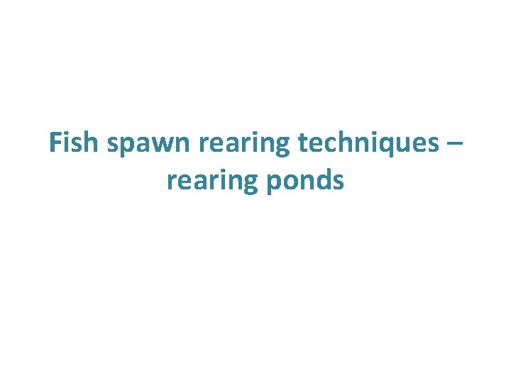 Fish spawn rearing techniques – rearing ponds Fish spawn rearing techniques – rearing ponds