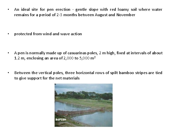  • An ideal site for pen erection - gentle slope with red loamy