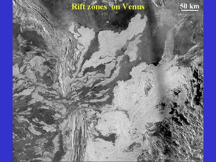 Rift zones on Venus 