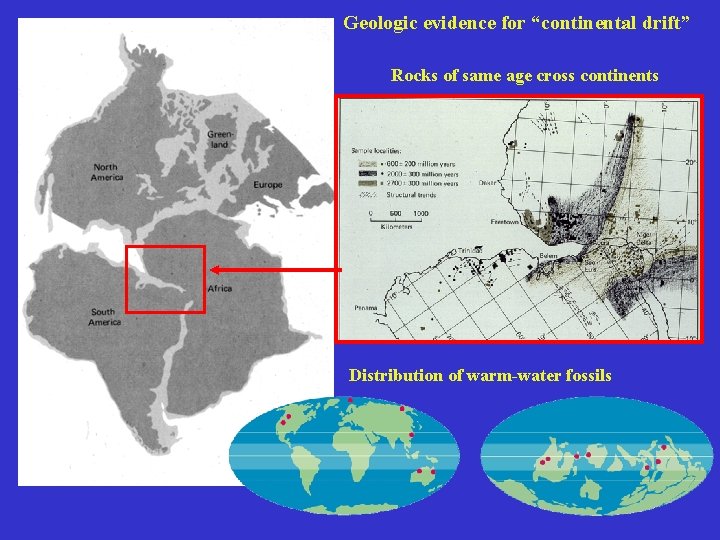 Geologic evidence for “continental drift” Rocks of same age cross continents Distribution of warm-water