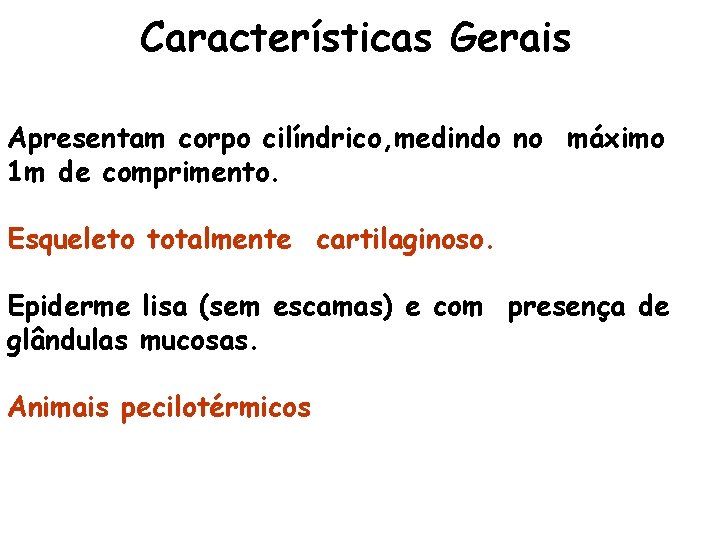 Características Gerais Apresentam corpo cilíndrico, medindo no máximo 1 m de comprimento. Esqueleto totalmente