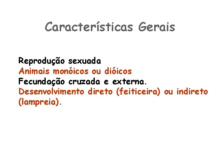 Características Gerais Reprodução sexuada Animais monóicos ou dióicos Fecundação cruzada e externa. Desenvolvimento direto