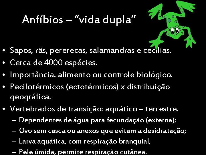 Anfíbios – “vida dupla” • • Sapos, rãs, pererecas, salamandras e cecílias. Cerca de