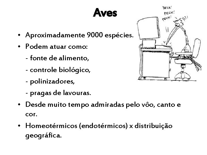 Aves • Aproximadamente 9000 espécies. • Podem atuar como: - fonte de alimento, -