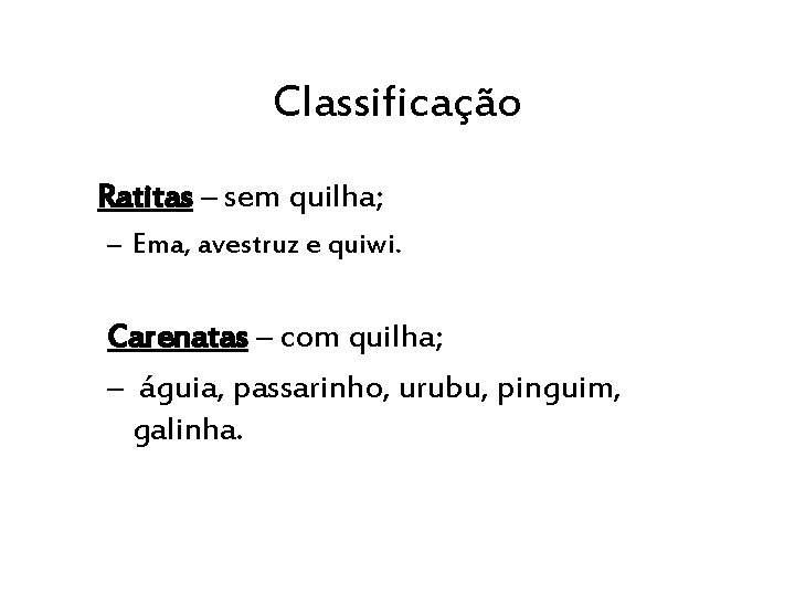 Classificação Ratitas – sem quilha; – Ema, avestruz e quiwi. Carenatas – com quilha;