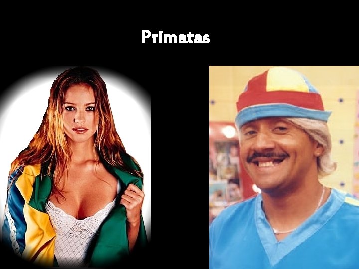 Primatas 