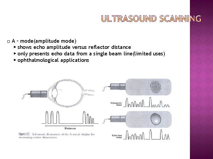 □ A – mode(amplitude mode) ▶ shows echo amplitude versus reflector distance ▶ only