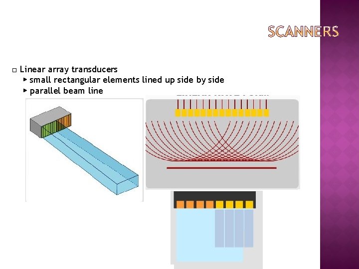 □ Linear array transducers ▶ small rectangular elements lined up side by side ▶