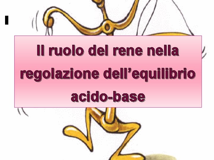 Acido Il ruolo del rene nella regolazione dell’equilibrio Base acido-base 