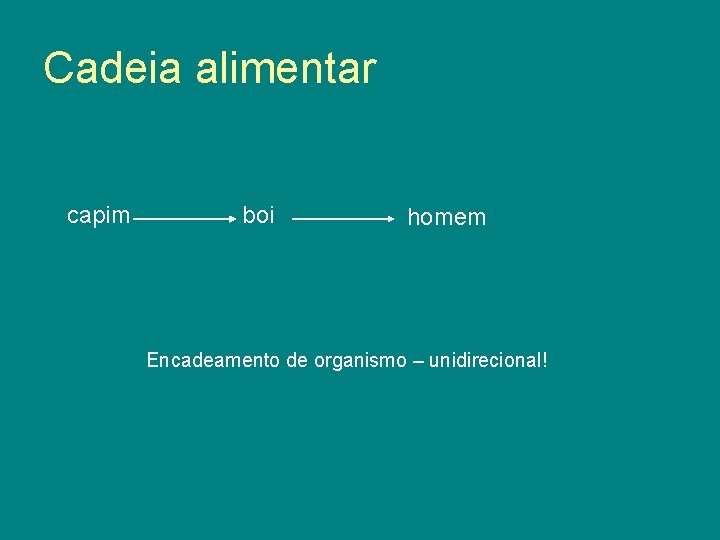 Cadeia alimentar capim boi homem Encadeamento de organismo – unidirecional! 