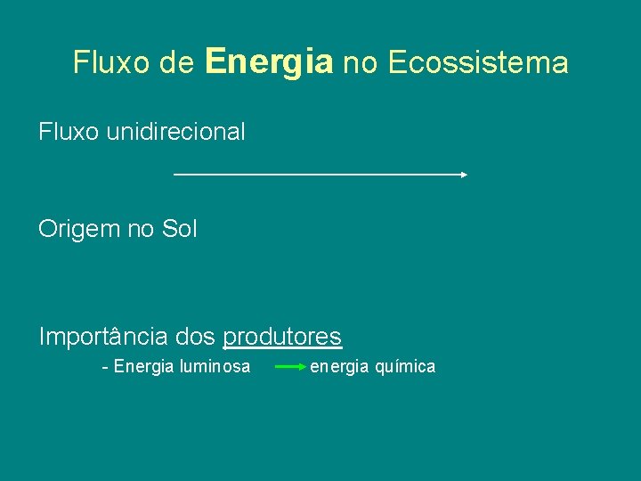 Fluxo de Energia no Ecossistema Fluxo unidirecional Origem no Sol Importância dos produtores -