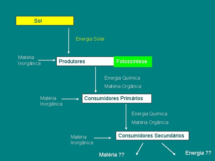 Sol Energia Solar Matéria Inorgânica Produtores Fotossíntese Energia Química Matéria Orgânica Matéria Inorgânica Consumidores