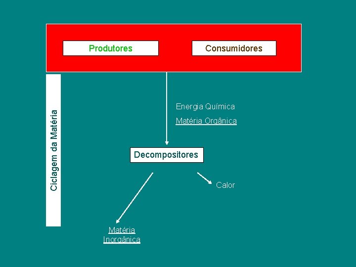 Ciclagem da Matéria Produtores Consumidores Energia Química Matéria Orgânica Decompositores Calor Matéria Inorgânica 