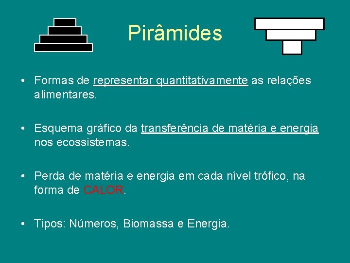 Pirâmides • Formas de representar quantitativamente as relações alimentares. • Esquema gráfico da transferência