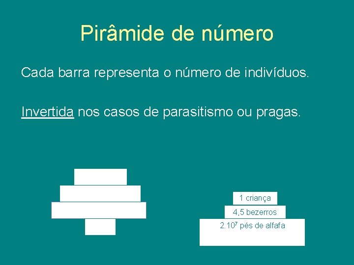 Pirâmide de número Cada barra representa o número de indivíduos. Invertida nos casos de