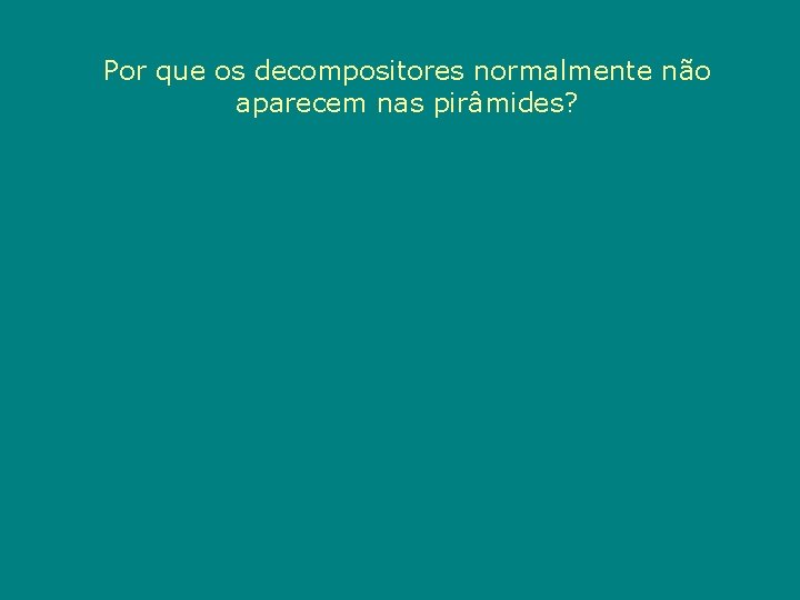 Por que os decompositores normalmente não aparecem nas pirâmides? 