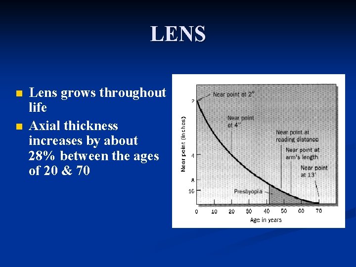 LENS n n Lens grows throughout life Axial thickness increases by about 28% between