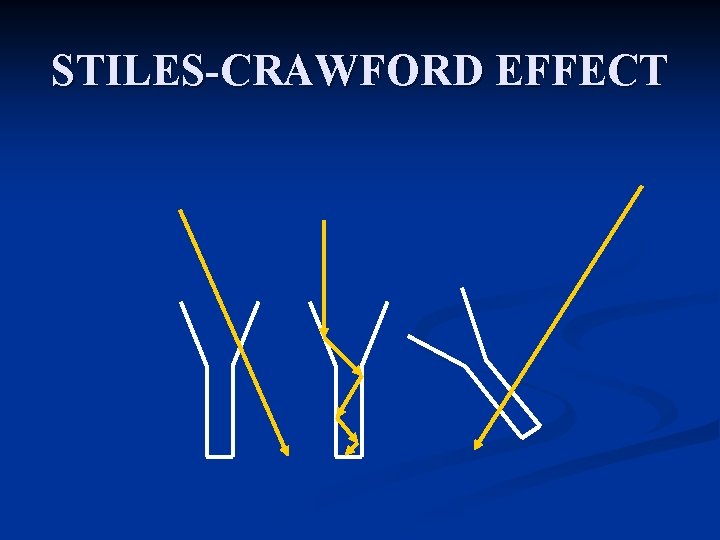 STILES-CRAWFORD EFFECT 