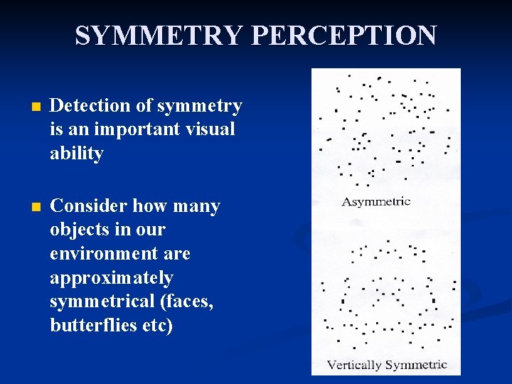 SYMMETRY PERCEPTION n Detection of symmetry is an important visual ability n Consider how