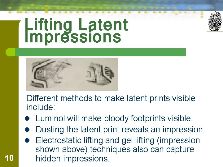 Lifting Latent Impressions 10 Different methods to make latent prints visible include: l Luminol