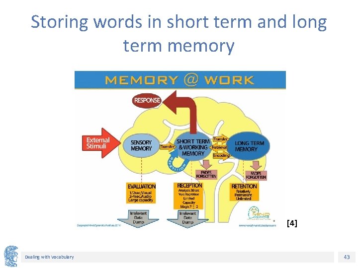 Storing words in short term and long term memory [4] Dealing with Vocabulary 43