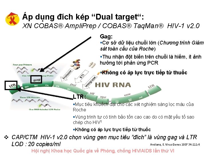 Áp dụng đích kép “Dual target“: XN COBAS® Ampli. Prep / COBAS® Taq. Man®